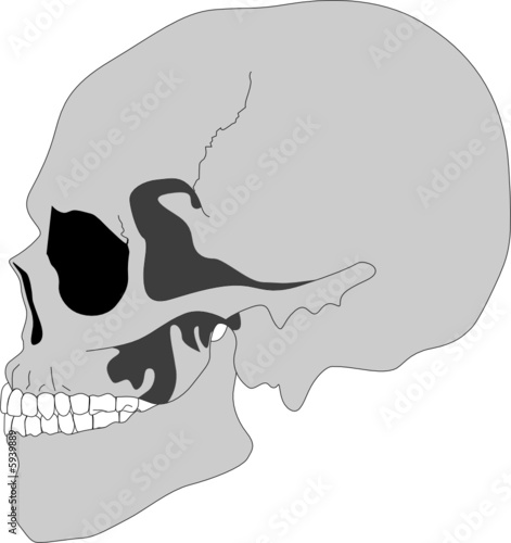tête de mort