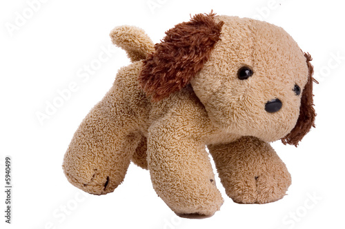 small plush stuffed dog isolates over white