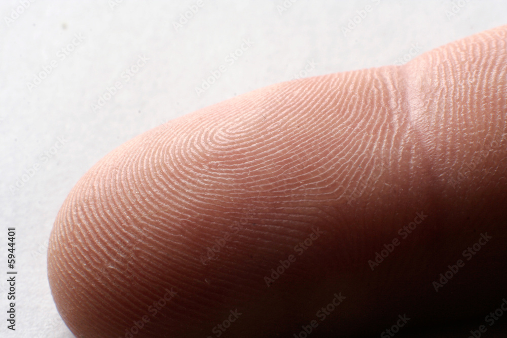 Human finger macro. With clipping path. Human finger macro. With clipping path.