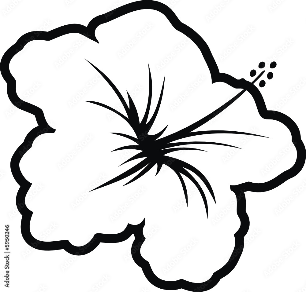 flor hawaii2