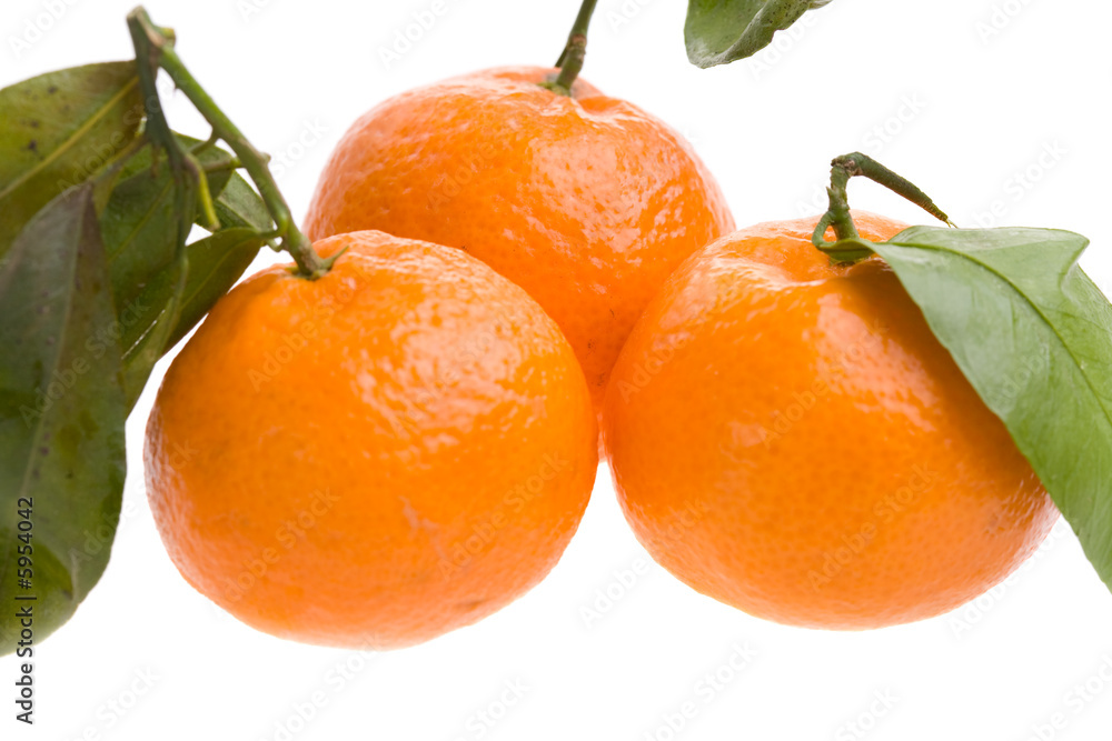 three tangerines macro isolated on white background three tangerines macro isolated on white background