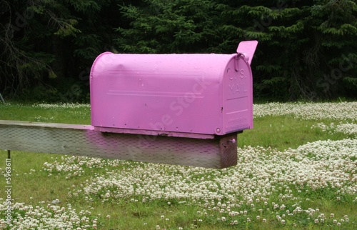 pink mailbox