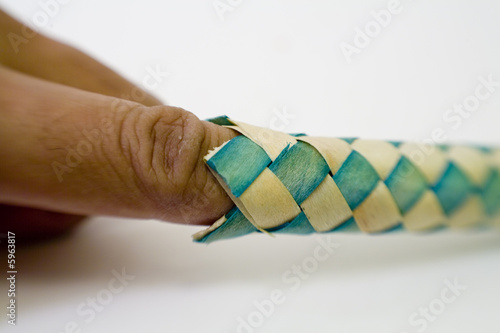 Chinese Finger Trap 2