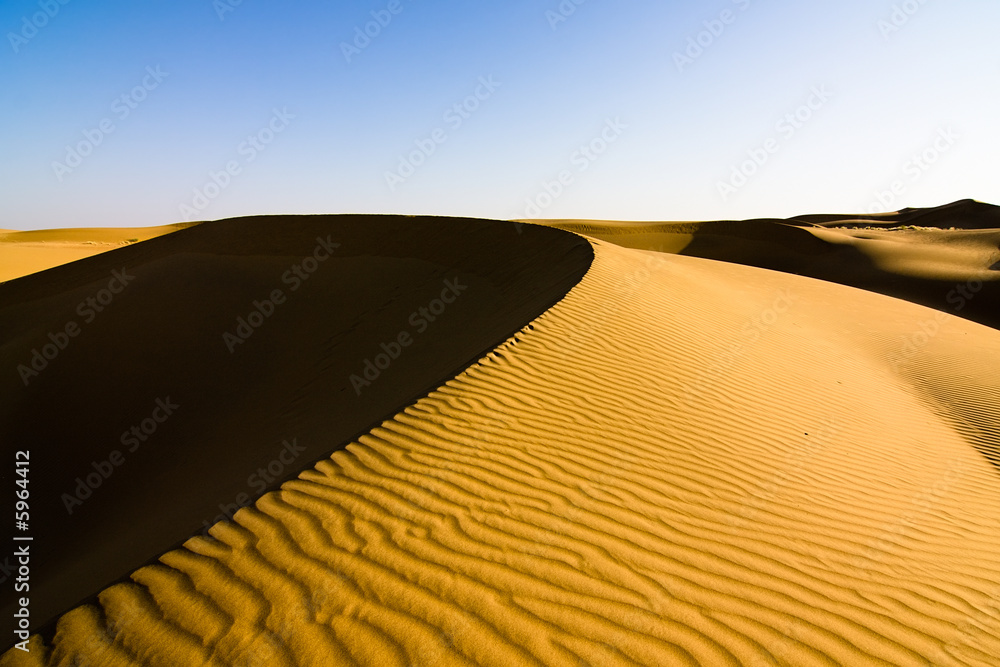 Naklejka premium Sand dunes under a clear sky - Thar desert, Rajasthan India