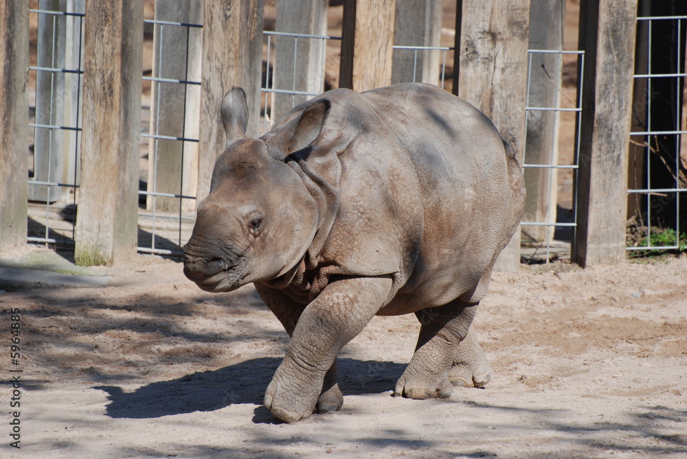 Naklejka premium Zoologischer Garten Stuttgart / Wilhelma