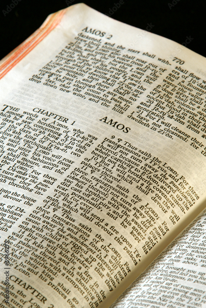 holy bible open to the book of amos in the old testament holy bible open to the book of amos in the old testament