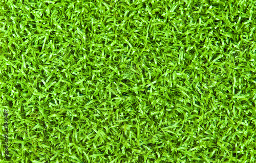 Bright Green Grass Background Texture