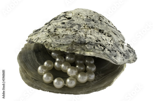 Pearls in oyster shell