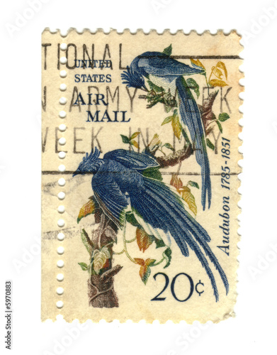 Old postage stamps from USA with two birds