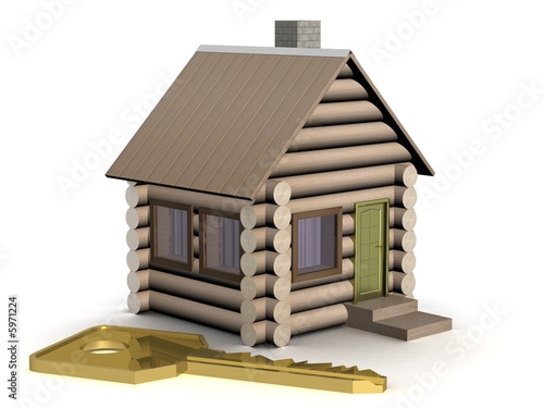 Wooden small house with a k...