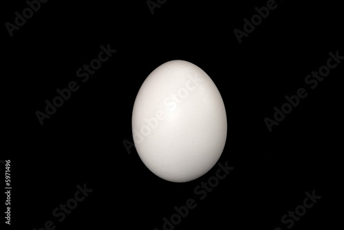 white  egg 