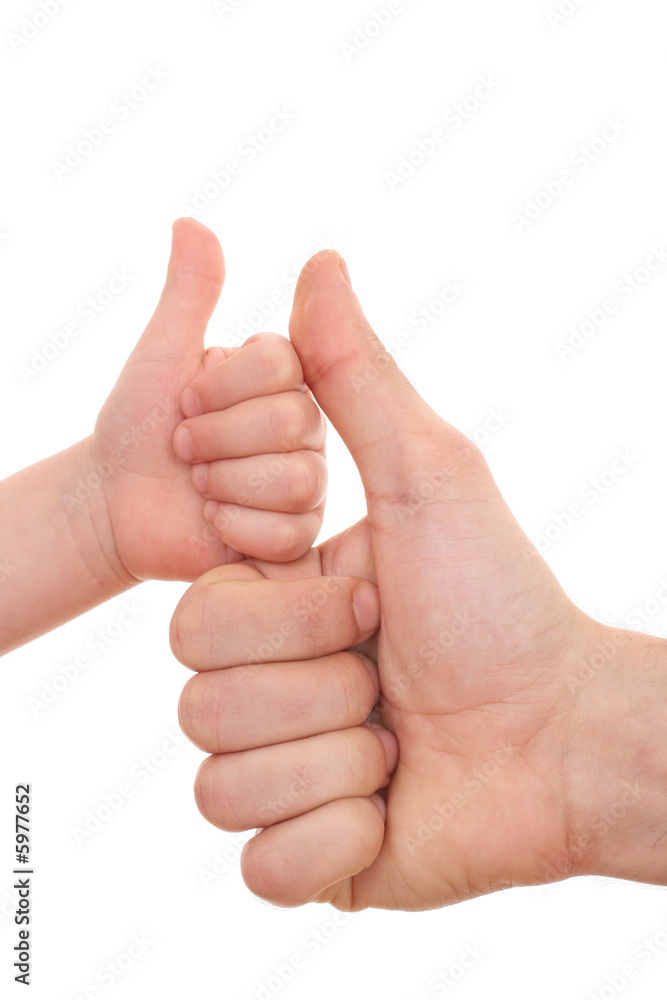two hands - one of man and one of child isolated on white