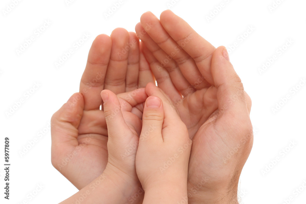 human hands isolated on white - parenting concept human hands isolated on white - parenting concept