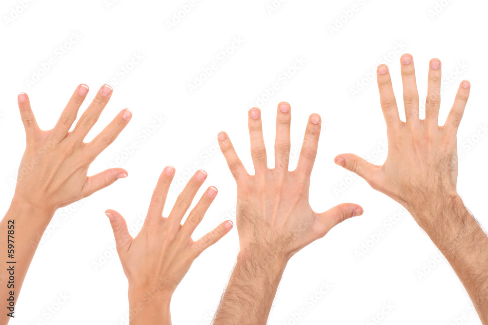 human hands isolated on white - team concept human hands isolated on white - team concept