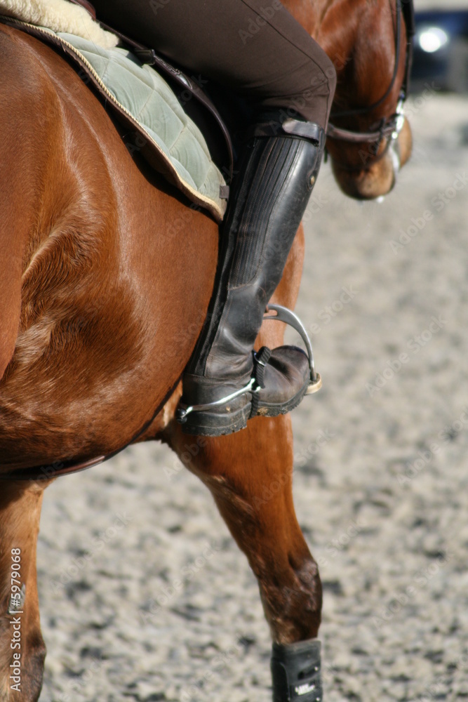 Obraz premium eperons