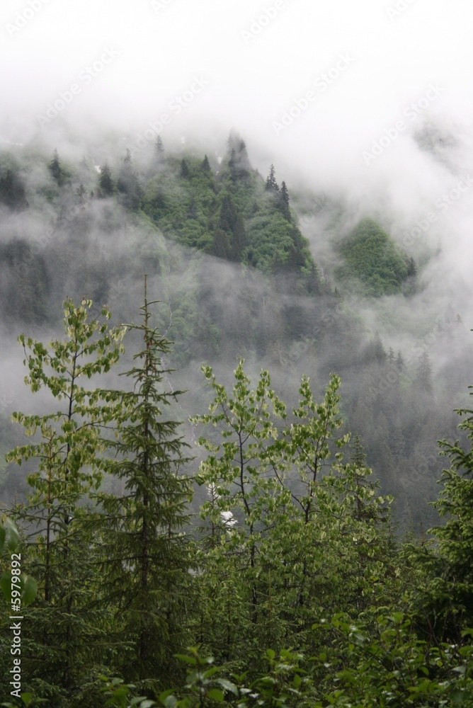 Fototapeta premium misty mountain