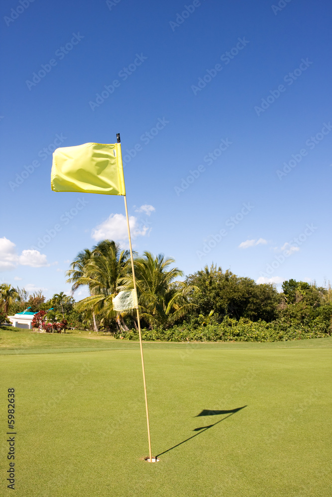 Obraz premium yellow flag on golfing green casting a shadow