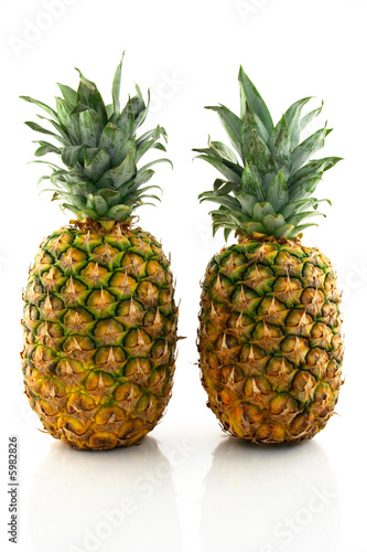 Two ripe pineapples reflecting on white background.