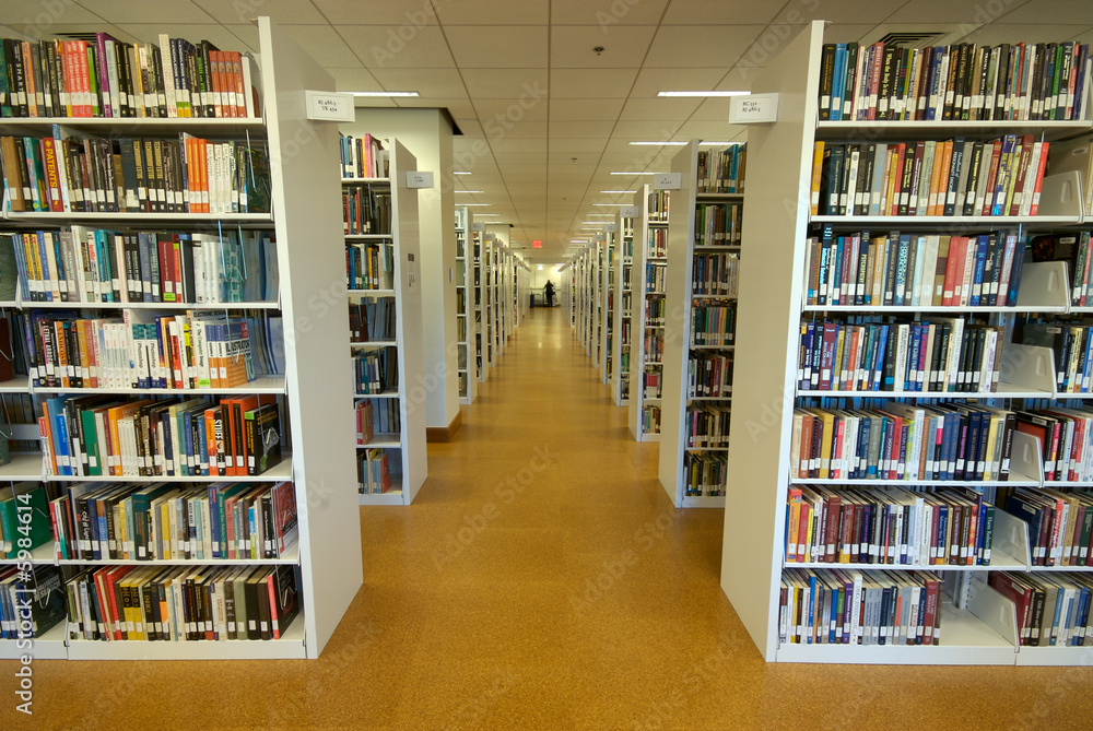 Library Shelves Library Shelves