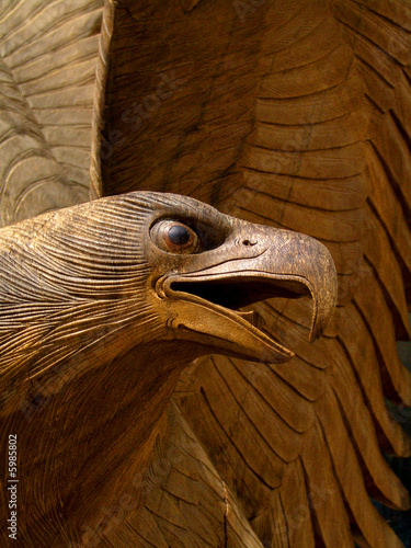 aigle bois