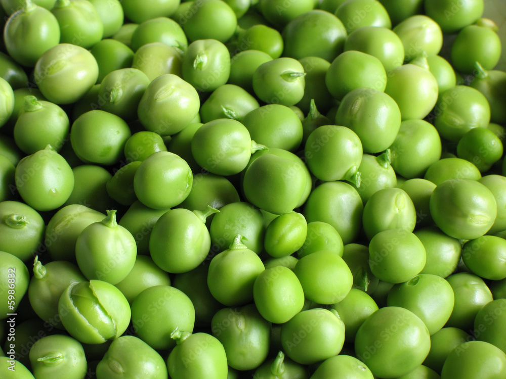 Erbsen Erbsen