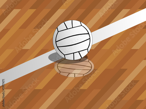Volley ball