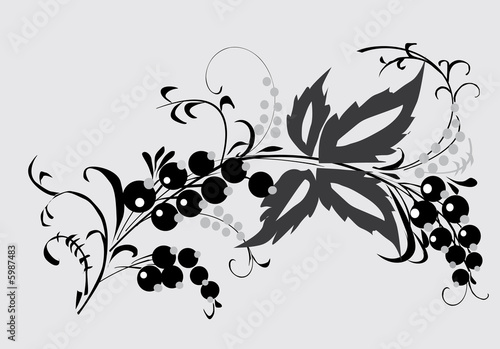 gray foliage and berries