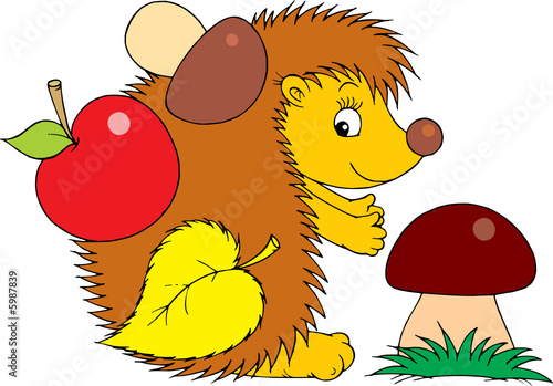 Hedgehog