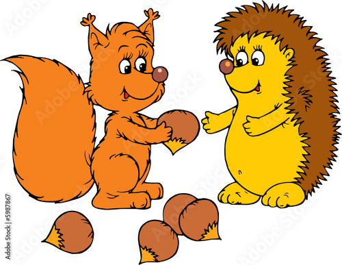 Hedgehog and squirrel 