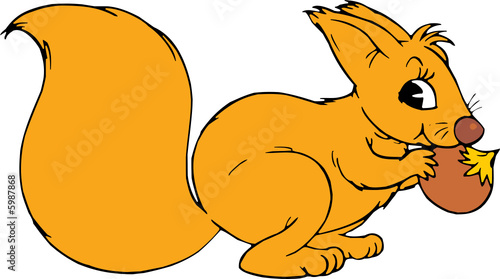 Squirrel