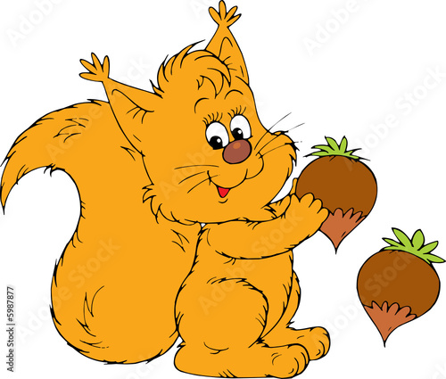 Squirrel