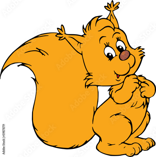 Squirrel