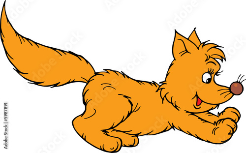 Fox