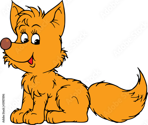 Fox