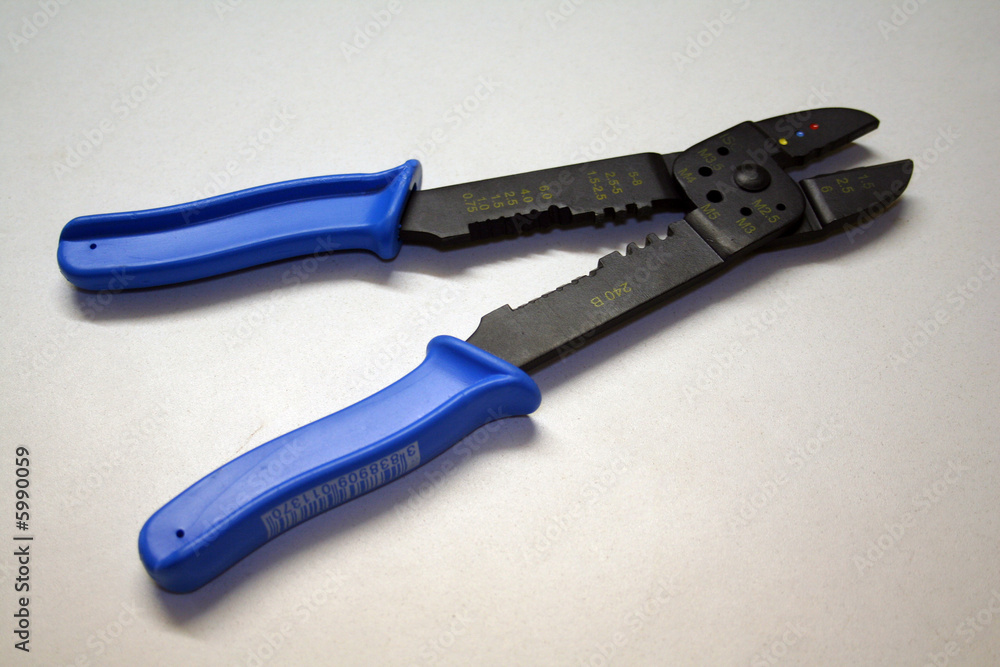 Obraz premium Pincer