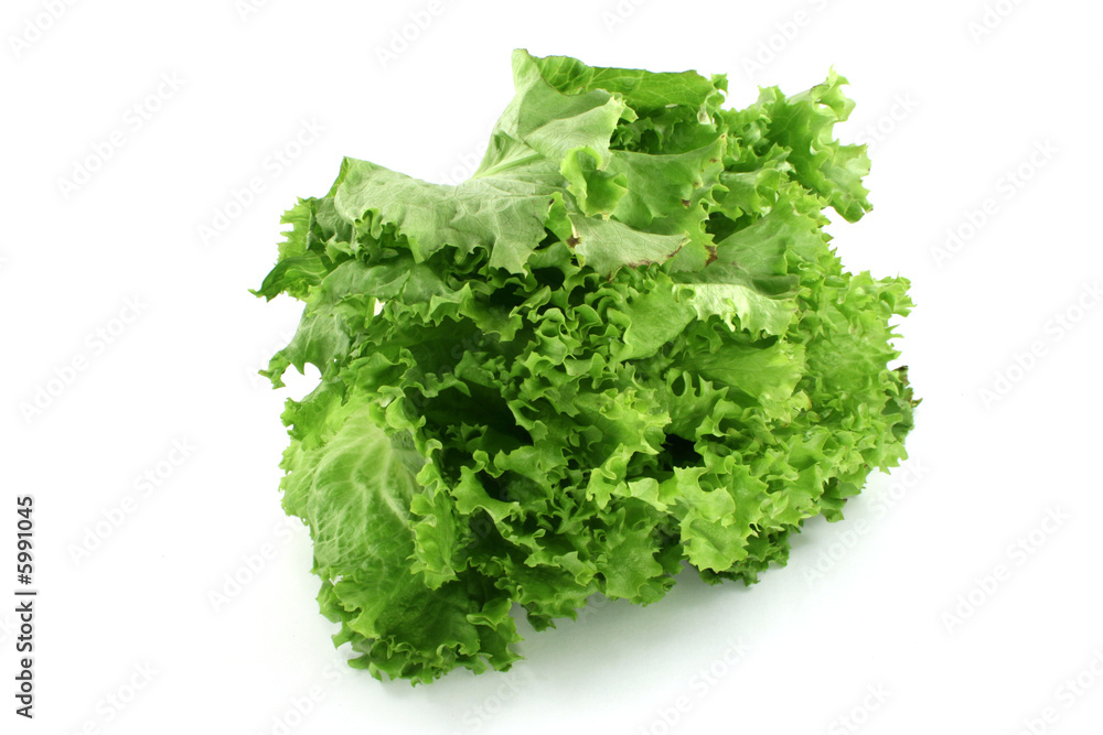 salad salad