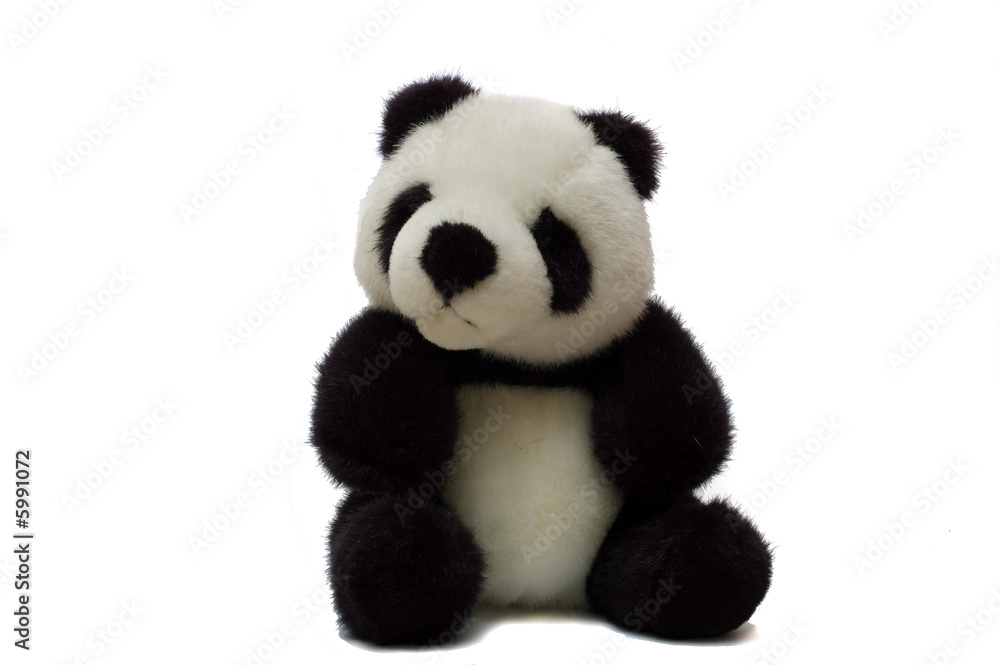 Panda Bear Two Panda Bear Two