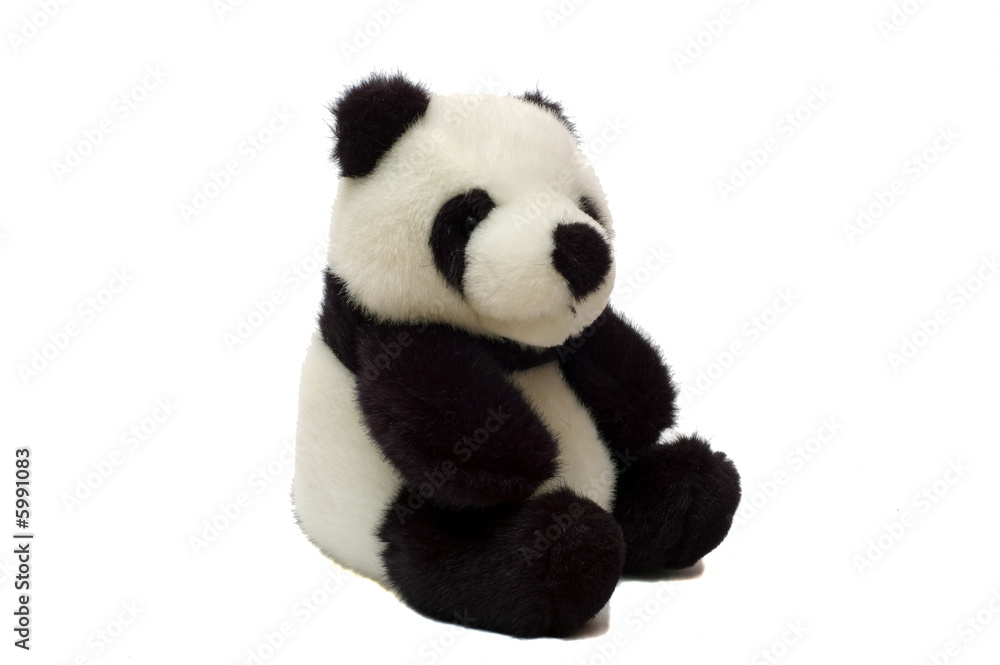 Panda Bear One Panda Bear One