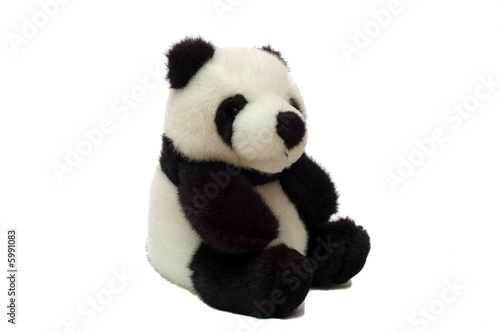 Fototapeta Naklejka Na Ścianę i Meble -  Panda Bear One