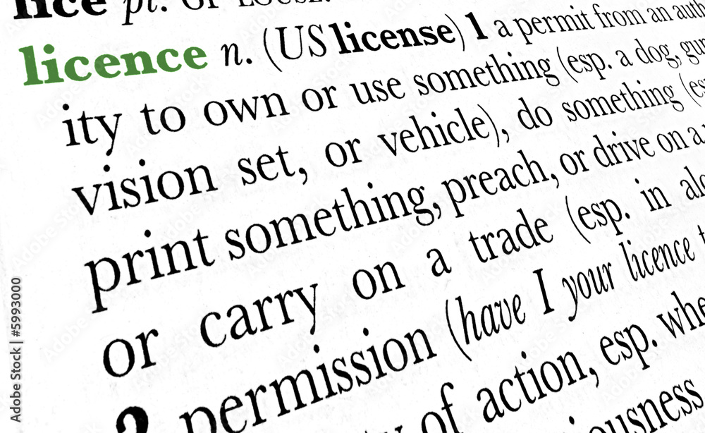 Licence word dictionary definition in great perspective