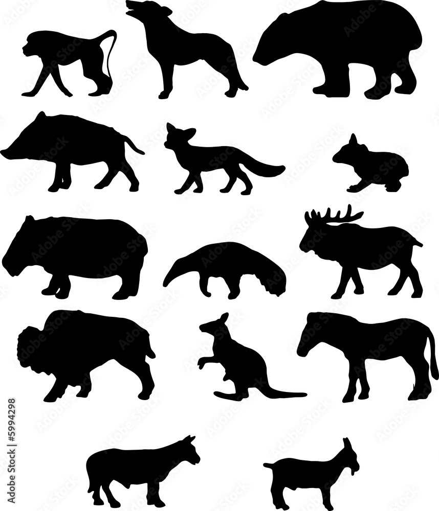Naklejka premium Animals.Silhouettes wild and pets in different poses