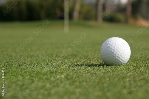A golf ball is lying on the green