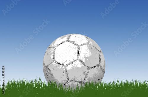 Soccer ball football on grass