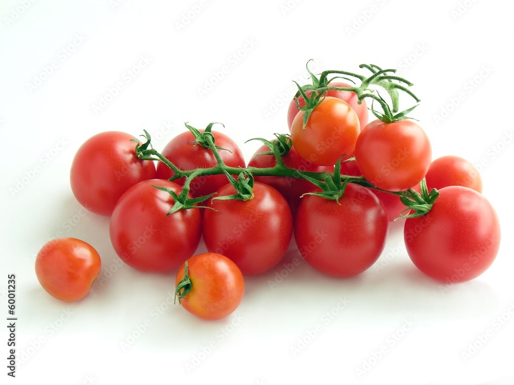 tomatoes