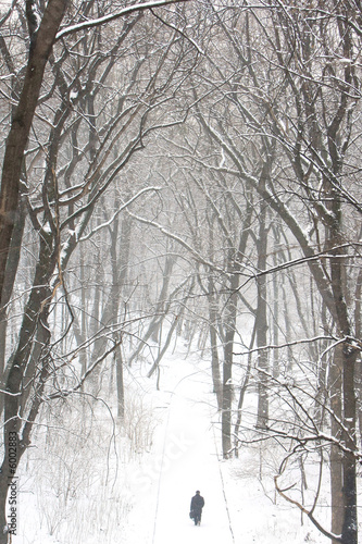 manl walking in a park photo