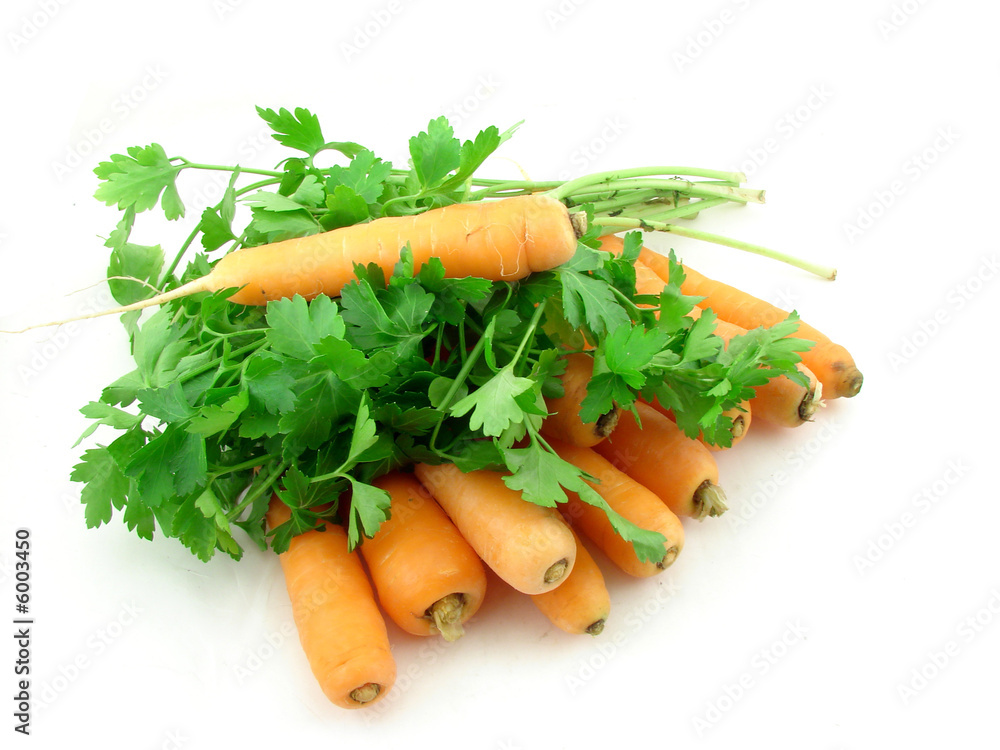Carrot and parsley Carrot and parsley