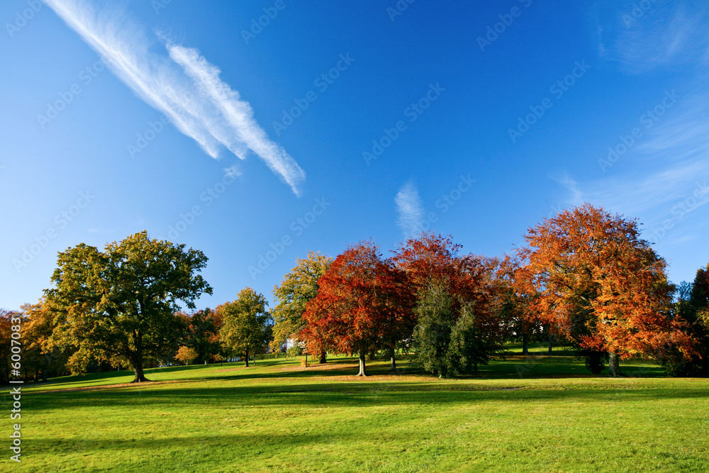 Paysage d'automne avec arbres colorés
