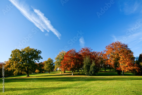 Paysage d'automne avec arbres colorés © Calzada