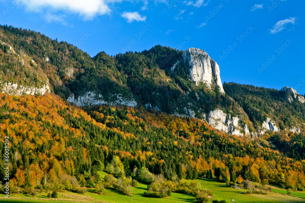 Montagne en vercors avec forêt d'automne