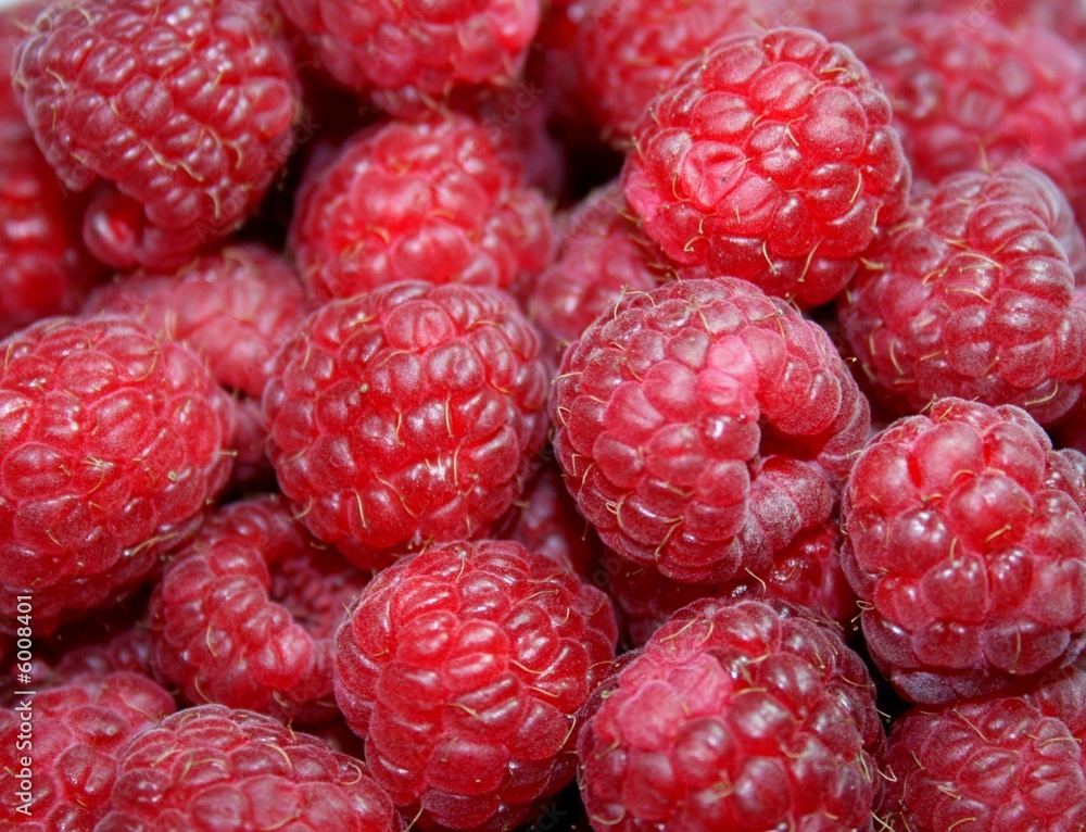 reife himbeeren raspberries reife himbeeren raspberries